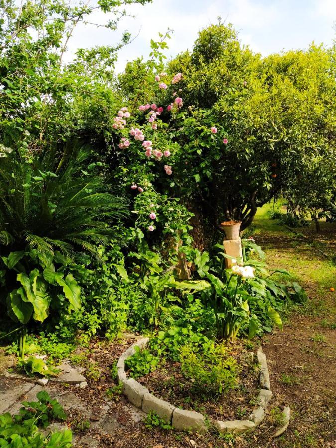 Aricelle Speziali Bed & Breakfast Specchia Gallone ภายนอก รูปภาพ