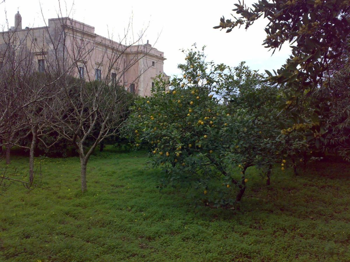 Aricelle Speziali Bed & Breakfast Specchia Gallone ภายนอก รูปภาพ